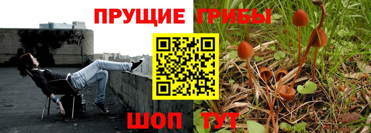 Калуга  Псилоцибиновые грибы ЛСД  Вход с VPN 