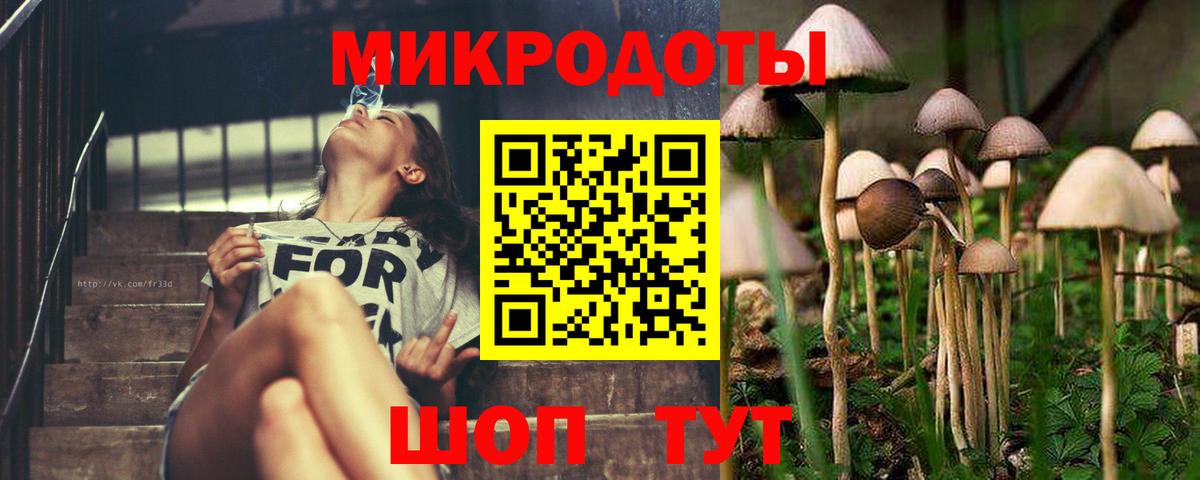 Галлюциногенные грибы ЛСД Калуга